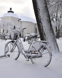 goesta_vinter_04.jpg