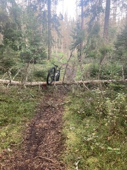 IMG_0881.jpeg