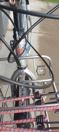 20230924_092320.jpg