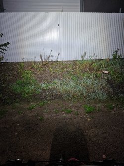 20230928_214310.jpg