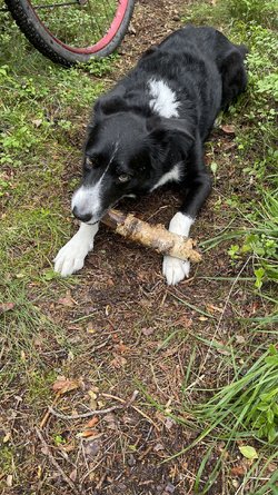 IMG_9323.jpeg