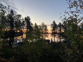 IMG_0081.jpeg
