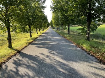 IMG_1672.jpeg
