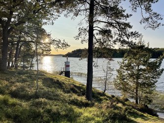 IMG_1683.jpeg