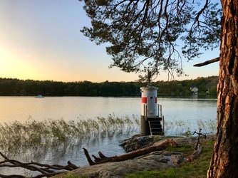 IMG_4140.jpeg