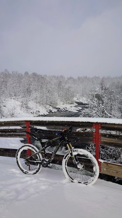 20231007_105412.JPG