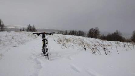 20231008_104112.JPG