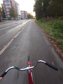 20231009_080116.JPG