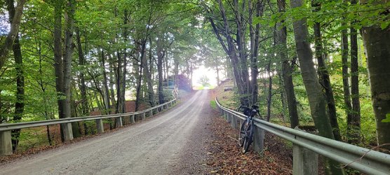 20231016_141444.jpg