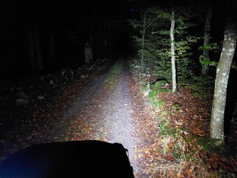 20231017_065038.jpg