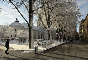 goesta_lkpg_vinter_05.JPG