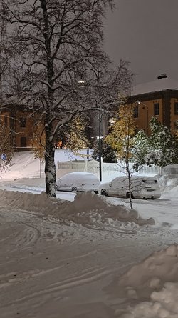 IMG20231104200944.jpg
