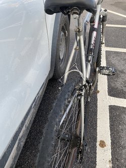 IMG_6018.jpeg