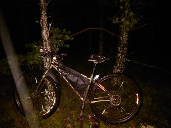 20231109_201532.JPG