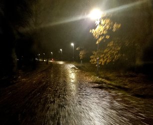 20231109_200204.jpg