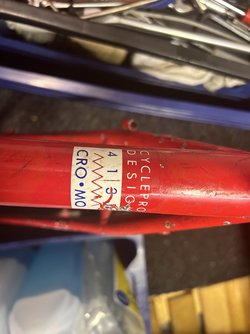 IMG_1234.jpeg