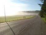 morgon.jpg
