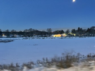IMG_2828.jpeg