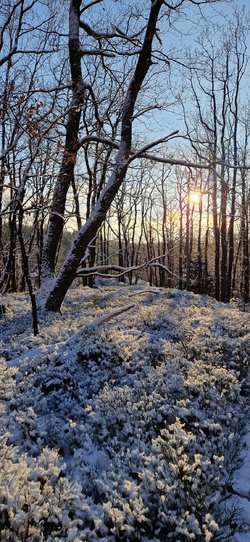 20231203_132940.jpg