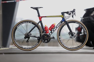 TOUR23_PADDOCKS_PIG_-1.jpg