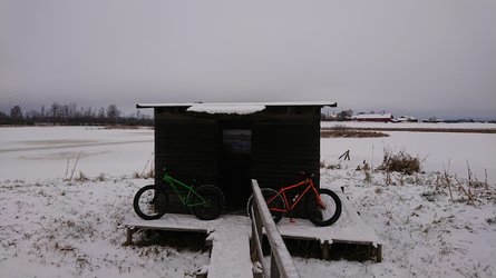 DSC_1452.JPG