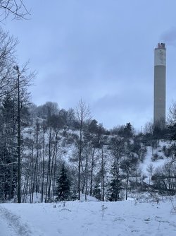 IMG_0008.jpeg