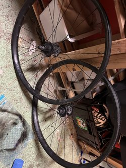 IMG_0290.jpeg