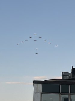 IMG_1433.jpeg