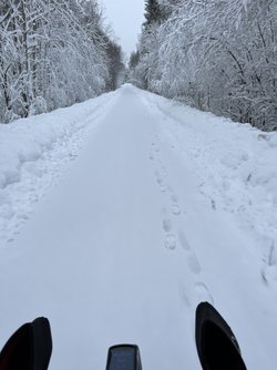 IMG_3295.jpeg