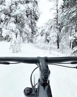 20231226_120221.jpg