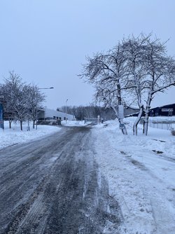 IMG_6759.jpeg