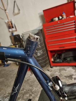 IMG_0552.jpeg