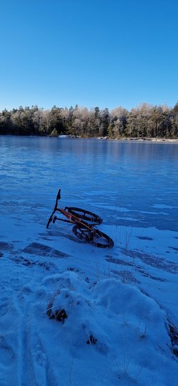 20240106_112715.jpg