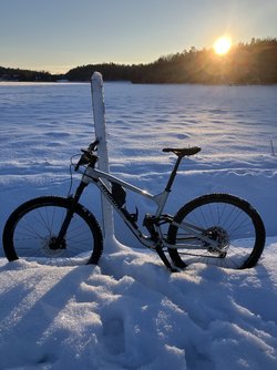 IMG_0021.jpg