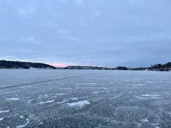 IMG_2317.jpg