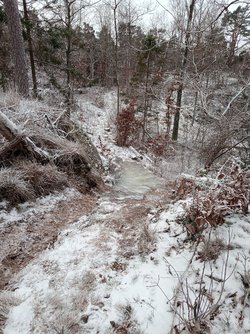 IMG_20240108_130920_392.jpg