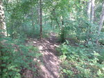 DSC00377.JPG