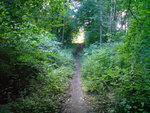 DSC00379.JPG