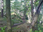 DSC00380.JPG