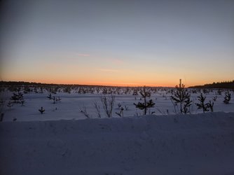 IMG_20240202_075845.jpg