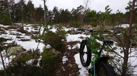 DSC_1861.JPG