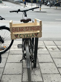 IMG_1605.jpeg