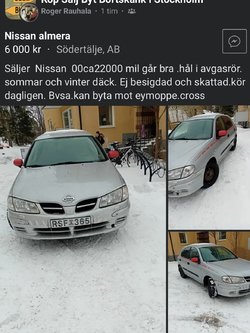 IMG_8431.jpeg