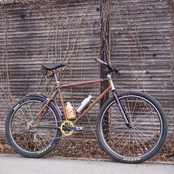 Mullet-69er-Ratbike-v1.0 - 1.jpeg