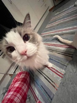image000000(89).jpg