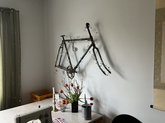 IMG_1158.jpeg