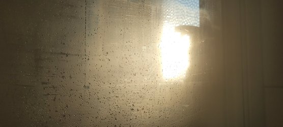 20240304_165217.jpg