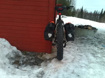 IMG_20240309_082331.jpg