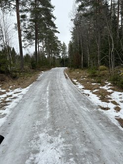 IMG_1664.jpeg