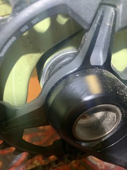 IMG_3005.jpeg